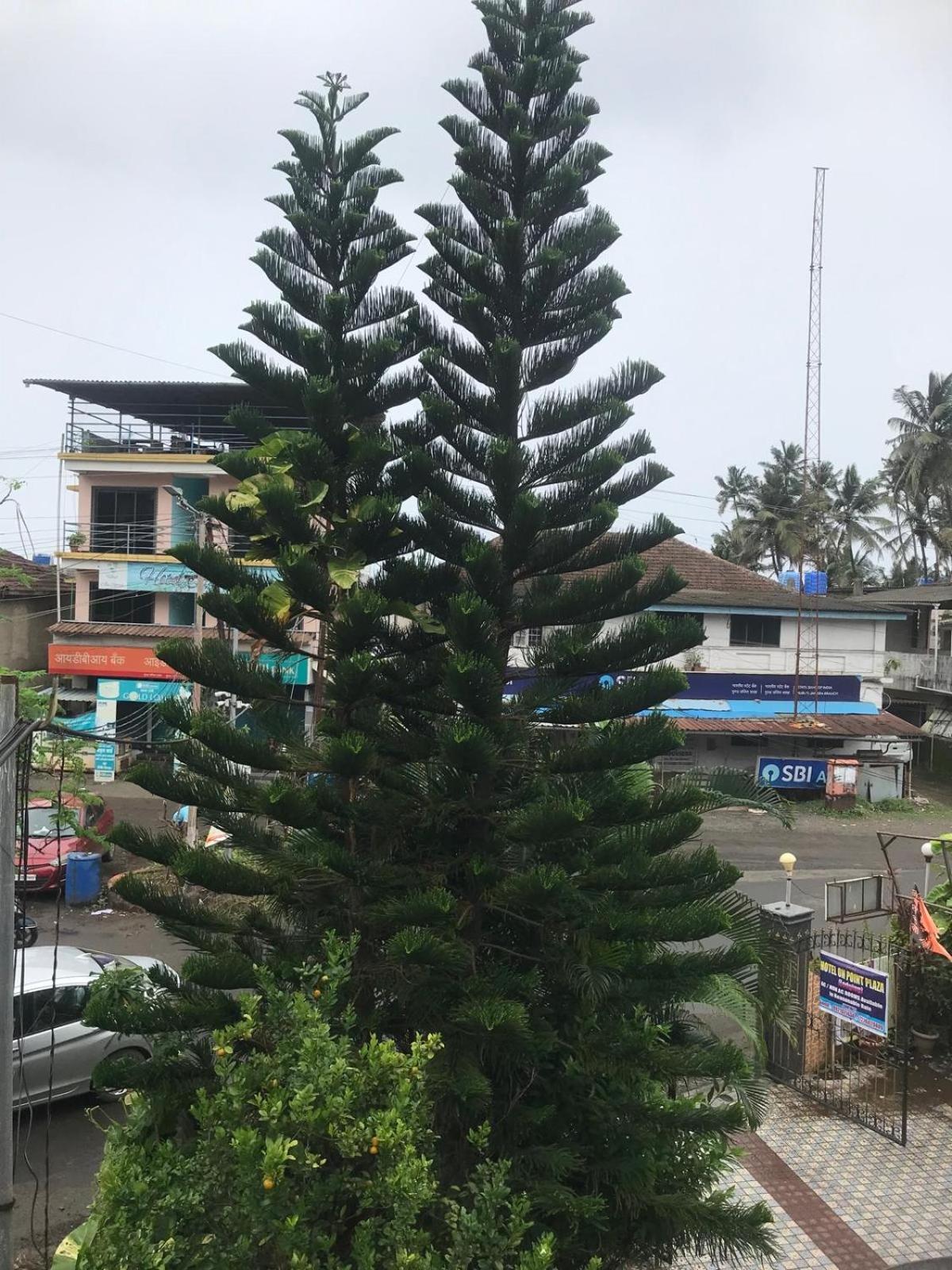On Point Plaza Bed & Breakfast Murud  Ngoại thất bức ảnh